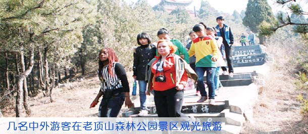 几名中外游客在老顶山森林公园景区观光旅游